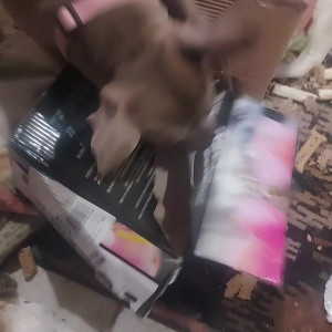Video by stellaaeternum published on August 16,2023 22:48:41 - BestThots