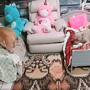 Video by stellaaeternum published on August 16,2023 22:06:59 - BestThots