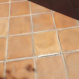 Video by stellaaeternum published on August 16,2023 21:09:29 - BestThots