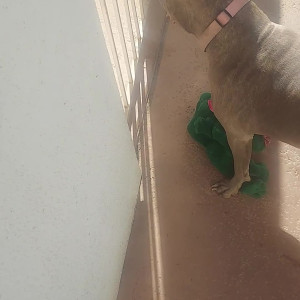 Video by stellaaeternum published on August 16,2023 20:36:22 - BestThots