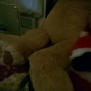 Video by stellaaeternum published on August 18,2023 00:01:03 - BestThots
