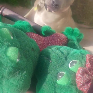 Video by stellaaeternum published on August 17,2023 01:59:27 - BestThots