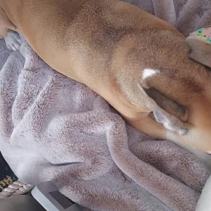 Video by stellaaeternum published on August 18,2023 00:01:18 - BestThots