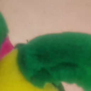 Video by stellaaeternum published on August 17,2023 01:59:48 - BestThots