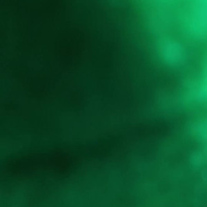 Video by stellaaeternum published on August 16,2023 23:44:56 - BestThots