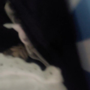Video by stellaaeternum published on August 17,2023 00:31:27 - BestThots