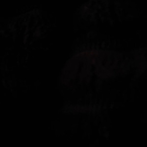Video by stellaaeternum published on August 16,2023 22:15:21 - BestThots