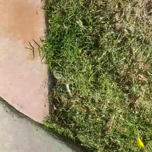 Video by stellaaeternum published on August 16,2023 23:09:31 - BestThots