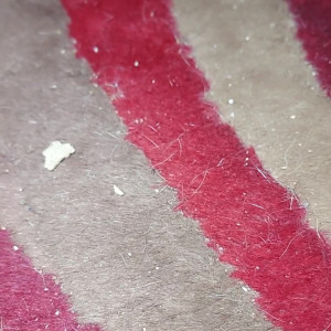 Video by stellaaeternum published on August 16,2023 22:17:52 - BestThots