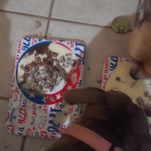 Video by stellaaeternum published on August 16,2023 23:09:36 - BestThots