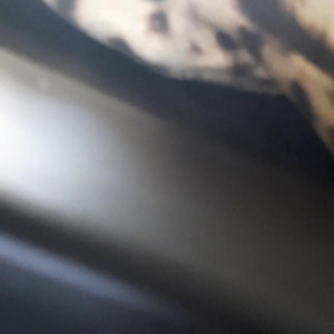 Video by stellaaeternum published on August 17,2023 01:27:00 - BestThots