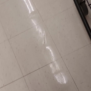 Video by stellaaeternum published on August 18,2023 13:17:00 - BestThots