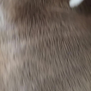 Video by stellaaeternum published on August 18,2023 01:11:00 - BestThots