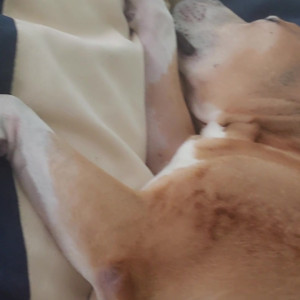 Video by stellaaeternum published on August 19,2023 07:20:00 - BestThots