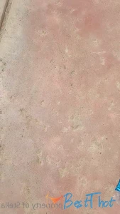 Video by stellaaeternum published on January 20,2025 16:03:12 - BestThots