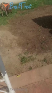 Video by stellaaeternum published on January 20,2025 16:03:13 - BestThots