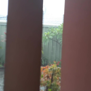 Video by bbwlaladelilah published on April 9,2023 11:12:00 - BestThots