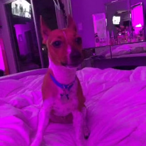 Video by hottotrottots published on June 16,2023 07:17:00 - BestThots