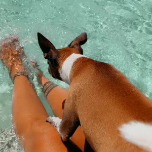 Video by hottotrottots published on March 7,2023 15:14:00 - BestThots