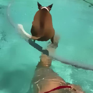 Video by hottotrottots published on June 22,2023 09:59:00 - BestThots
