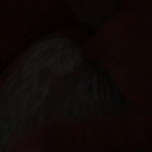 Video by hottotrottots published on April 25,2023 16:43:00 - BestThots