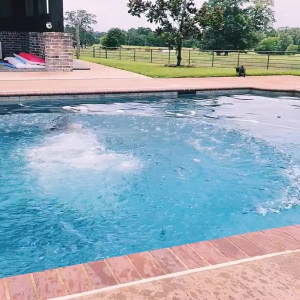 Video by coyandcocky published on March 17,2023 16:08:00 - BestThots