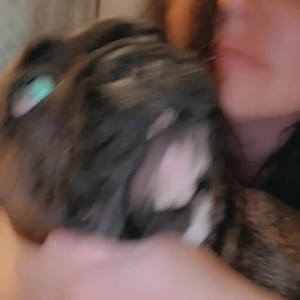 Video by coyandcocky published on August 9,2023 12:25:00 - BestThots
