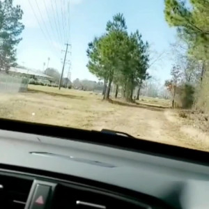 Video by coyandcocky published on August 19,2023 15:02:00 - BestThots
