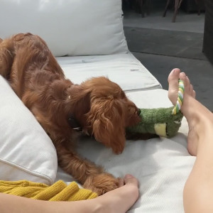 Video by reedamberx published on July 7,2023 08:14:00 - BestThots