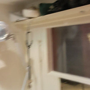 Video by reedamberx published on May 14,2023 20:13:00 - BestThots