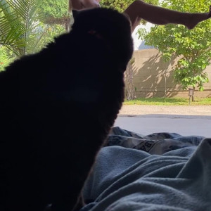 Video by reedamberx published on March 30,2023 08:40:00 - BestThots