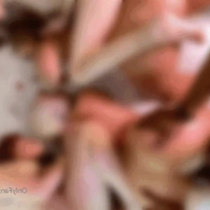 Video by karmens_library published on August 28,2023 02:19:00 - BestThots