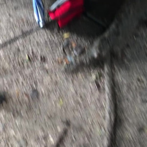 Video by gina_gerson published on August 23,2023 23:37:00 - BestThots