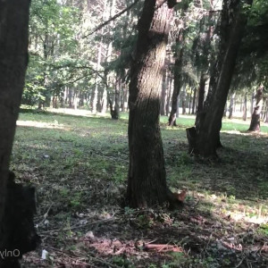 Video by gina_gerson published on April 4,2023 13:31:00 - BestThots