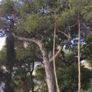 Video by gina_gerson published on August 18,2023 11:33:00 - BestThots