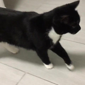Video by gina_gerson published on August 2,2023 15:07:00 - BestThots