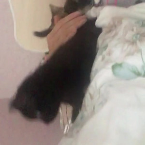 Video by gina_gerson published on July 29,2023 18:44:00 - BestThots
