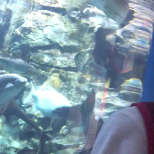 Video by gina_gerson published on April 1,2023 10:47:00 - BestThots