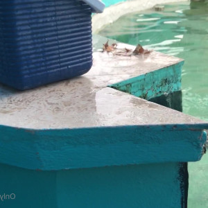 Video by gina_gerson published on March 25,2023 10:10:00 - BestThots