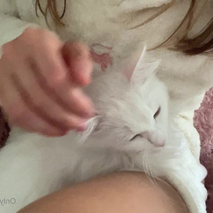 Video by gina_gerson published on August 6,2023 15:15:00 - BestThots