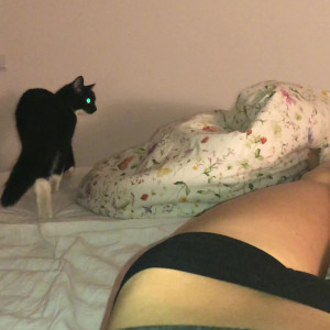Video by gina_gerson published on July 27,2023 15:15:00 - BestThots