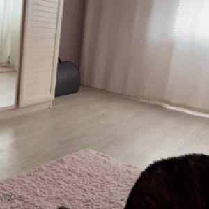 Video by gina_gerson published on August 2,2023 04:34:00 - BestThots
