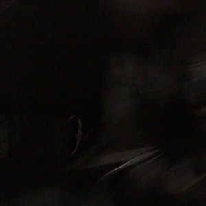 Video by gina_gerson published on March 2,2023 20:03:00 - BestThots