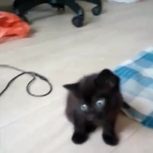 Video by gina_gerson published on March 19,2023 08:39:00 - BestThots