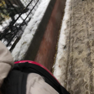 Video by gina_gerson published on March 28,2023 03:44:00 - BestThots