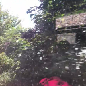 Video by gina_gerson published on April 7,2023 02:03:00 - BestThots