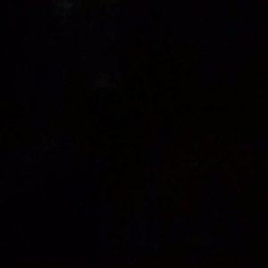 Video by gina_gerson published on August 13,2023 04:46:00 - BestThots