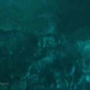 Video by gina_gerson published on March 23,2023 11:55:00 - BestThots