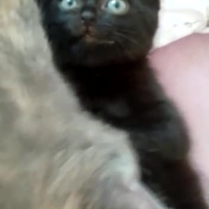 Video by gina_gerson published on August 9,2023 02:44:00 - BestThots