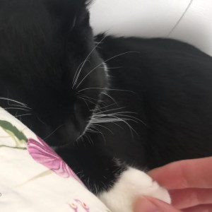 Video by gina_gerson published on August 20,2023 10:43:00 - BestThots